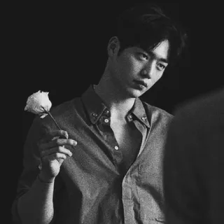 ➖ man, flower, portrait, black and white, rose, person telegram sticker
