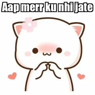 ⚜ Aap merr ku nhi jate chat, mignon, kawaii, chat pêche, rougir, coeurs whatsapp sticker