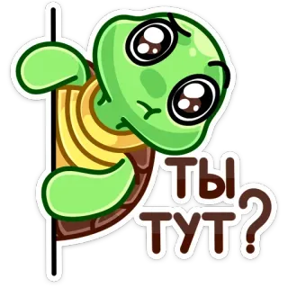 ❓ Ты тут? turtle, cute, sticker, cartoon, question whatsapp sticker