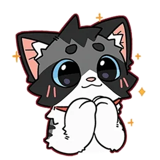 🤩 cat, cute, animal, kawaii, anime, pet whatsapp sticker