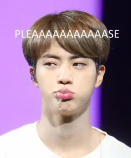 🥺 Jin PLEAAAAAAAAAAAAAAASE kpop, jin, bts, flehend, anfrage whatsapp sticker