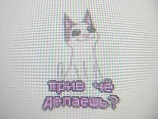 ❔ прив че делаешь? gato, russo, texto whatsapp sticker