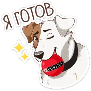 Питомцы :: @stickroom telegram stickers
