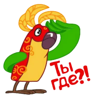 ⁉ Ты где?! pappagallo, uccello, domanda, russo, dove sei telegram sticker