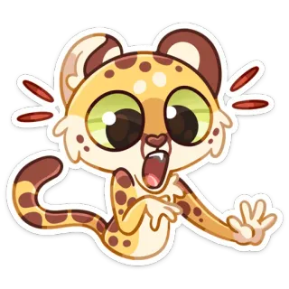 😳 leopardo, gato, animal, lindo, dibujo animado, pegatina, ojos grandes telegram sticker
