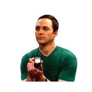 💍 Sheldon Cooper The Big Bang Theory proposal, ring, tv show, sitcom, nerd telegram sticker