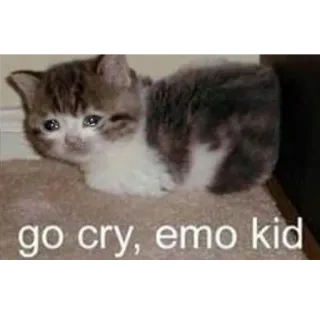 😭 go cry, emo kid kucing, anak kucing, emo, sedih, menangis, meme telegram sticker