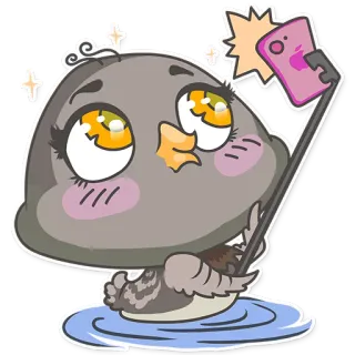 📱 부엉이, 새, 만화, 귀여운, 셀카, 동물, 스티커 telegram sticker