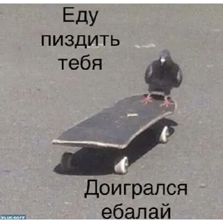 😠 Еду пиздить тебя
Доигрался ебалай นก, สเก็ตบอร์ด, ก้าวร้าว, สแลง, รัสเซีย, นกพิราบ telegram sticker