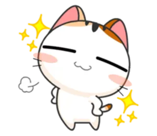 😊 gato, dibujo animado, pegatina, lindo, brillos, pedo, viento, animal telegram sticker