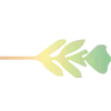 ➖