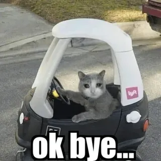 😩 ok bye... 猫, 車, 運転, バイバイ, 動物, ミーム telegram sticker