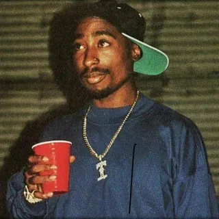 🍷 Tupac Shakur rappeur, musicien, 2Pac, artiste, hip hop whatsapp sticker
