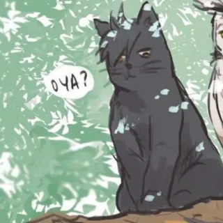 🥇 ОЧА? chat, mignon, russe, mème, animal whatsapp sticker