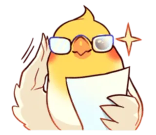 📝 นกค็อกคาเทล, นก, แว่นตา, ฉลาด, น่ารัก, กระดาษ, การ์ตูน telegram sticker