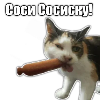 🌭 Соси Сосиску! cat, sausage, animal telegram sticker