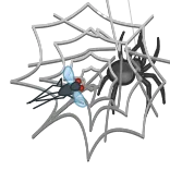 🕸