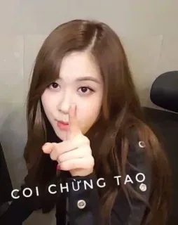 blackpink memes🤞@angel_bpink telegram stickers