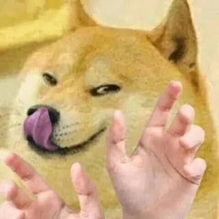 😋 Doge perro, meme, doge, gracioso, animal, lamiendo labios telegram sticker