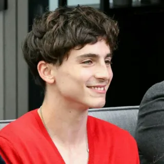 😇 Timothée Chalamet ator, retrato, celebridade, Timothée Chalamet, sorriso telegram sticker
