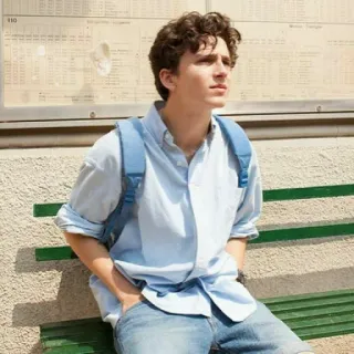 🦇 Timothée Chalamet actor, famoso, hombre, retrato telegram sticker