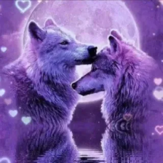 ❤️ loup, loups, animal, coeur, violet, lune, amour, romantique telegram sticker
