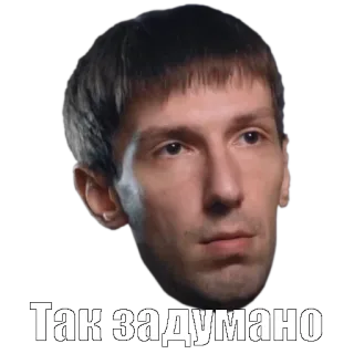 👍 Так задумано telegram sticker