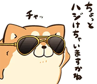 🐶 ちょっとハジけちゃいますかね Hund, Shiba Inu, Sonnenbrille, Chat, Cool, Sticker telegram sticker