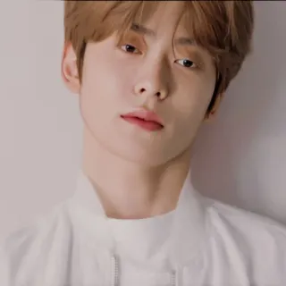 📸 肖像, 男人, 休闲, 白色, 夹克, 韩国, 名人 telegram sticker