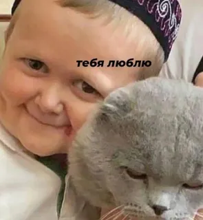 🌟 тебя люблю ragazzo, gatto, amore, russo telegram sticker