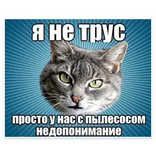 ☹️ Я НЕ ТРУС
просто у нас с пылесосом недопонимание gato, ruso, meme, gracioso, aspiradora, asustado, animal telegram sticker