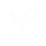 🌱