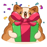 🎁 hond, cadeau, feest, corgi, geschenk, strik, confetti, schattig telegram sticker