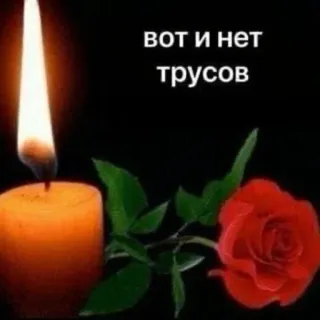🕯 вот и нет трусов bougie, rose, mort, perte, deuil, chagrin telegram sticker