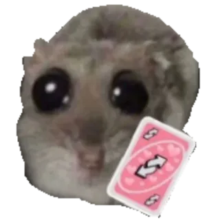 🃏 Japanese dwarf flying squirrel meme, uno reverse, squirrel, cute, reaction, funny, card game, animal telegram sticker