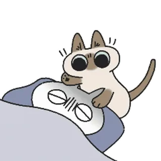 😾 chat, animal, sommeil, mignon, dessin animé, autocollant whatsapp sticker