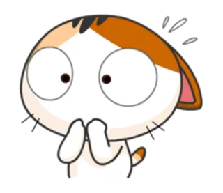 🤭 gato, impactado, sorprendido, asustado, dibujos animados, anime, kawaii, lindo telegram sticker