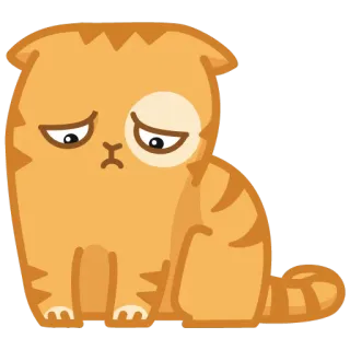 😔 cat, sad, animal, cute, orange telegram sticker