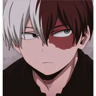 😐 Shoto Todoroki My Hero Academia anime, my hero academia, shoto todoroki, manga, character, boy, half white hair, half red hair telegram sticker