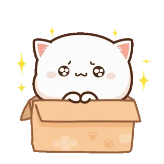 ⭐ cat, kitten, cute, box, kawaii, animal telegram sticker