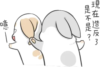 😒 是誰在捏我的臉頰呢？ animal, rabbit, dog, pet, cute, cheek telegram sticker