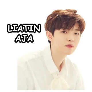😒 LIATIN AJA Kpop, Ídolo, Expresión, Hombre, Retrato telegram sticker