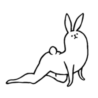 💋 lapin, animal, dessin animé, blanc, dessin, mignon, drôle, humour whatsapp sticker