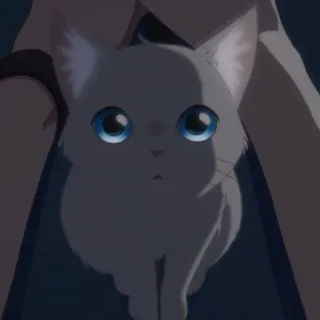 🎗 кот, аниме, милый, животное, питомец telegram sticker