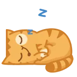 💤