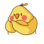 😕 화난 새, 만화, 병아리, 노란색, 심술궂은 telegram sticker