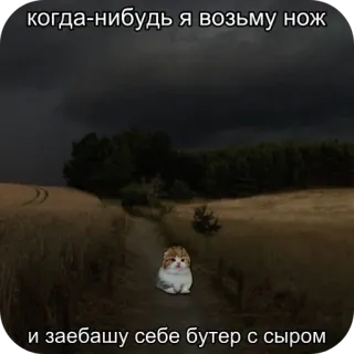 😍 когда-нибудь я возьму нож и заебашу себе бутер с сыром cat, knife, sandwich, cheese, storm, field, funny, humor whatsapp sticker
