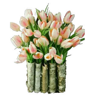 🌸 hoa, hoa tulip, bó hoa, mùa xuân, thiên nhiên telegram sticker