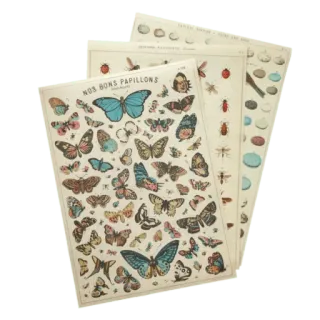 💶 NOS BONS PAPILLONS mariposas, insectos, vintage, francés, naturaleza, ilustración, mariposas telegram sticker