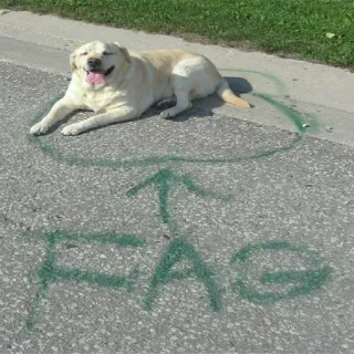 🐶 FAG ofensivo, perro, insulto, grafiti, despectivo telegram sticker